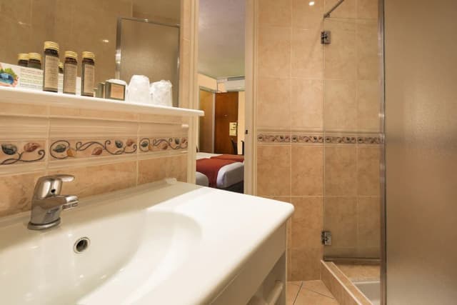 オテル テルミヌス リヨン-エグゼクティブ ダブルルーム-6