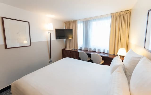 Mercure Paris Gare Montparnasse TGV-Classic Room, 1 Double Bed-6