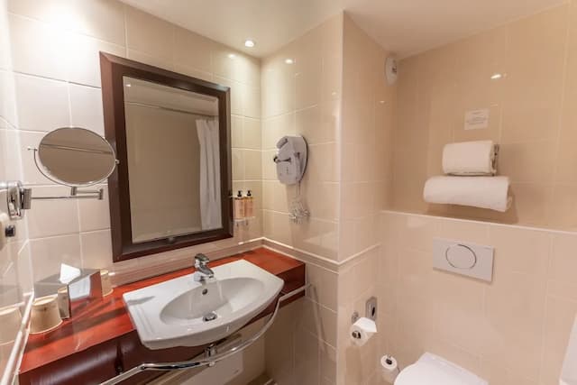 Mercure Paris Gare Montparnasse TGV-Classic Twin Room, 2 Twin Beds-6