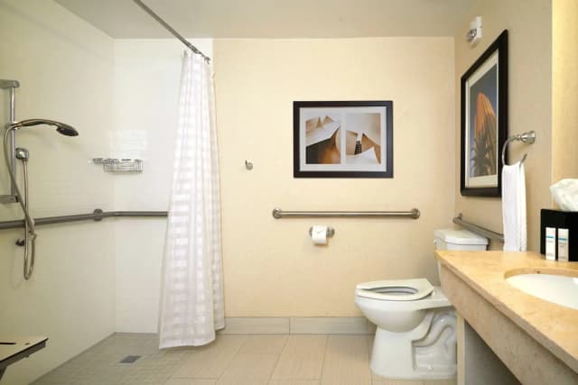 Embassy Suites by Hilton Los Angeles International Airport North-Room, 1 King Bed, Accessible, Non Smoking-4