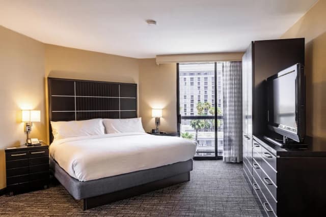 Embassy Suites by Hilton Los Angeles International Airport North-Room, 1 King Bed, Accessible, Non Smoking-1