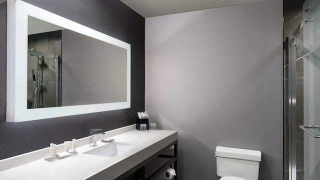 芝加哥醫學園區/UIC 萬怡酒店-客房, 2 張加大雙人床-4