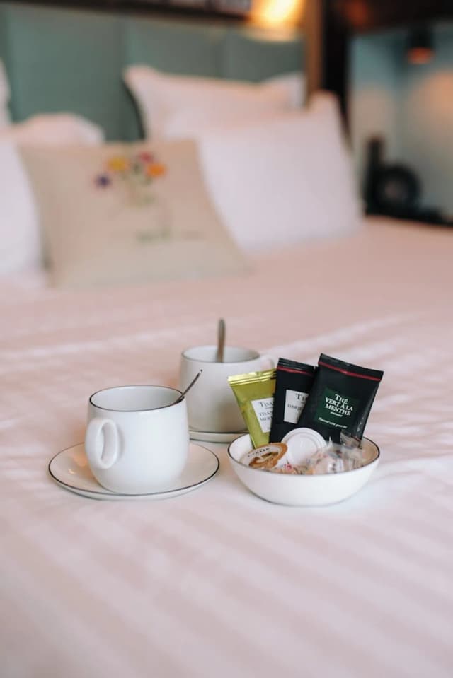 布魯梅艾菲爾飯店-豪華雙床房-4