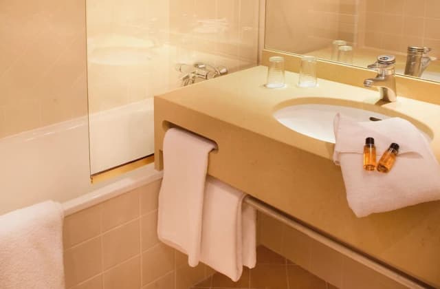 盧浮宮里拉思飯店-標準客房-8