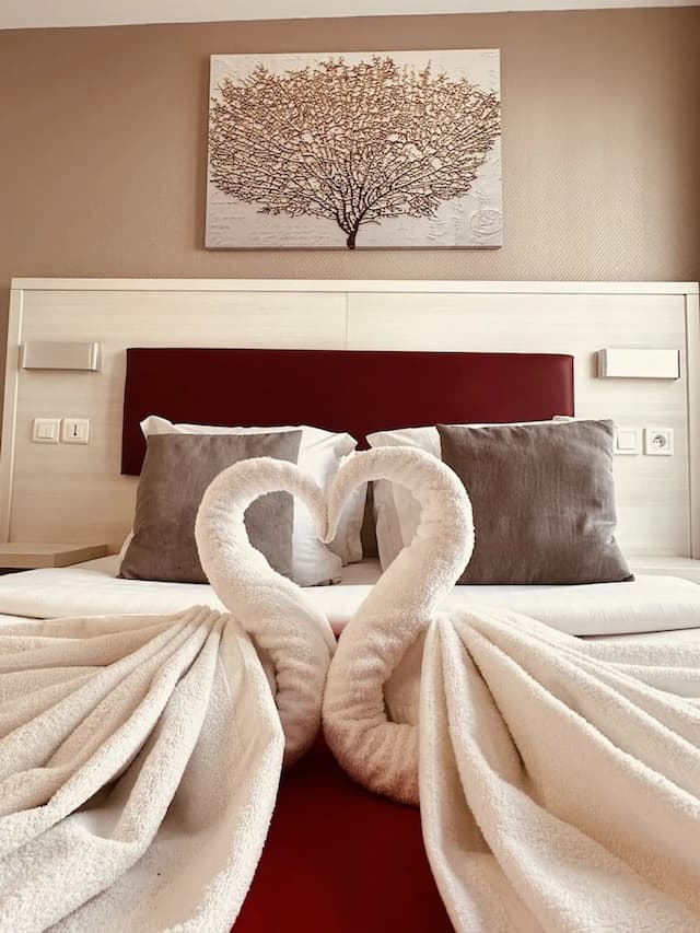 拉法葉特庭院劇場酒店-雙人房-20