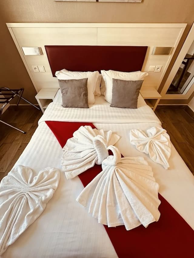 拉法葉特庭院劇場酒店-雙人房-5