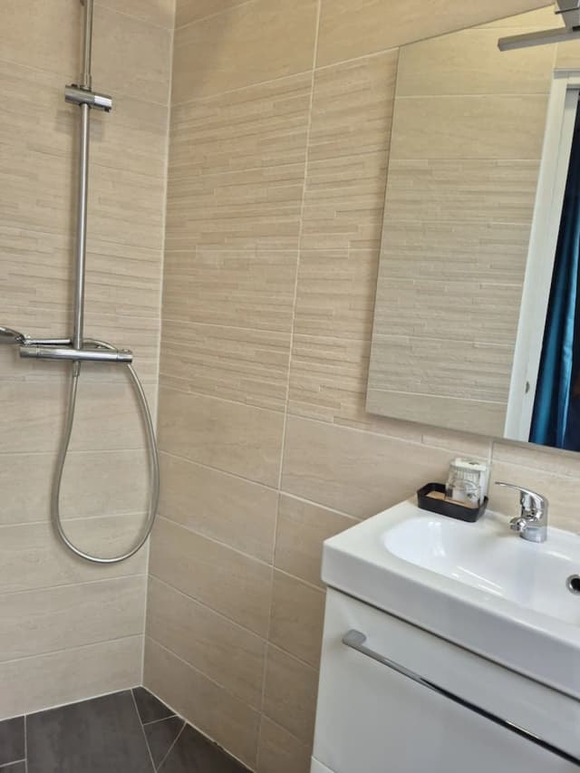 Hôtel Le Carrosse-双人房-8