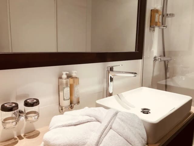 호텔 엑셀시어 오페라-슈피리어 더블룸, 금연-7