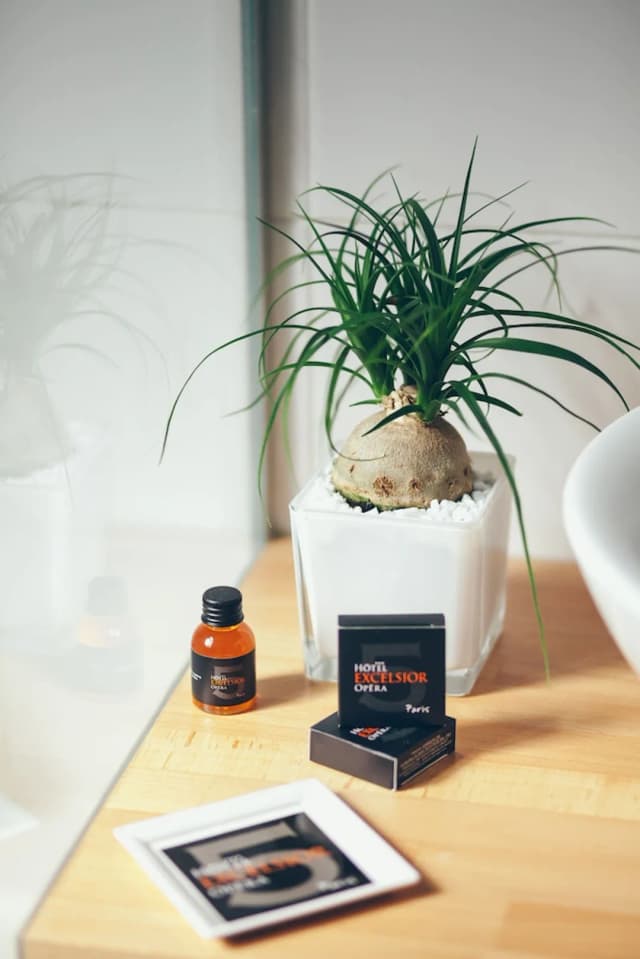 호텔 엑셀시어 오페라-슈피리어 더블룸, 금연-10