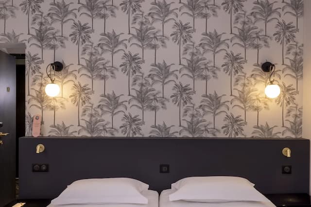 Hôtel de Suez-高级双床房-3