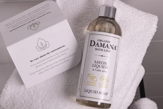 Hôtel de Suez-高级双床房-6