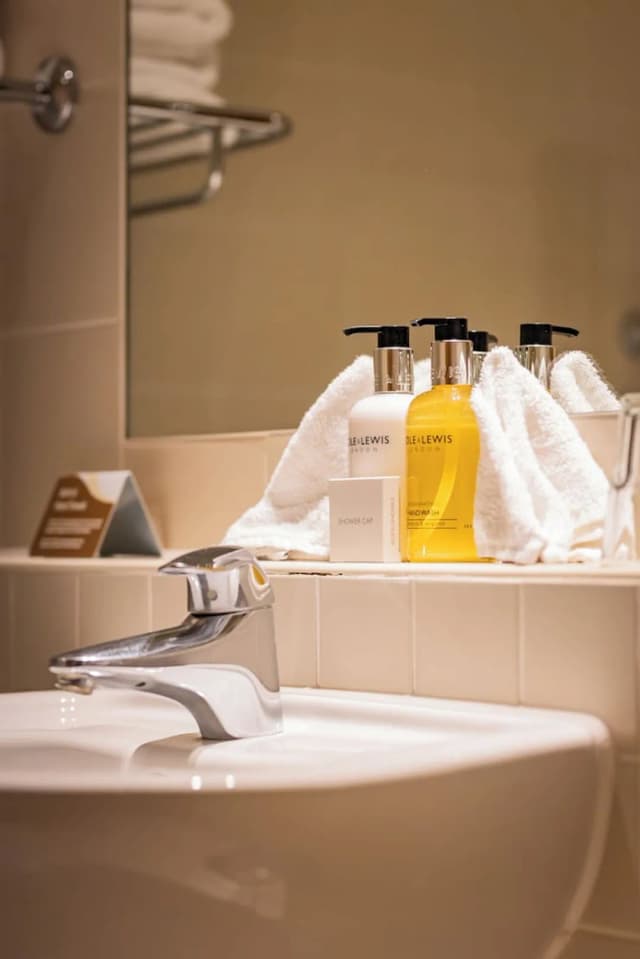 レッド ライオン ホテル ヒリンドン-デラックス ダブルまたはツインルーム 1 ベッドルーム-23