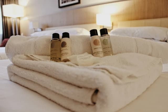 蘭開斯特飯店-豪華雙人房-6