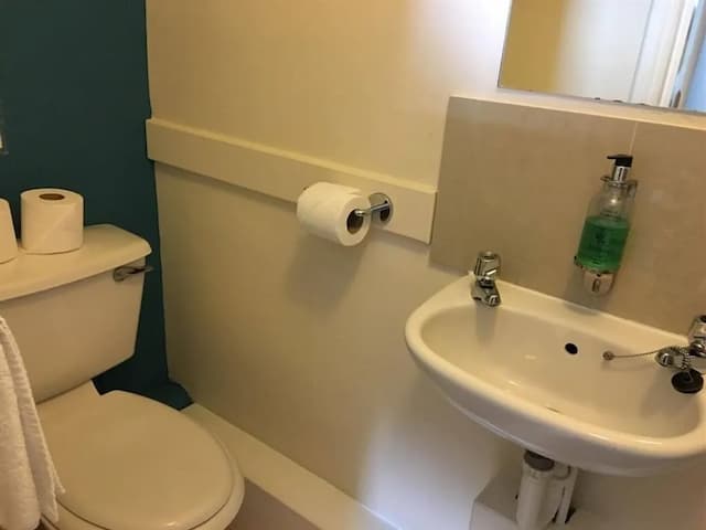 The Kings Arms-Twin Room, Ensuite-5