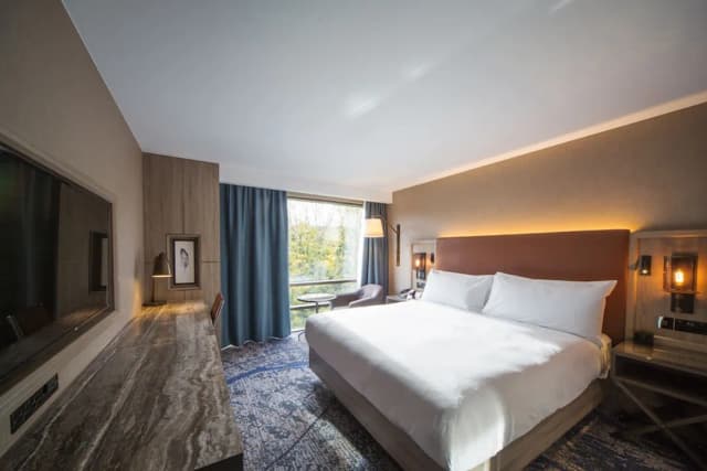 DoubleTree by Hilton London Kingston Upon Thames-高级房, 1 张特大床-2
