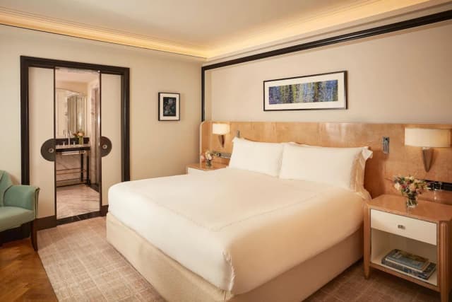 梅寶尼克拉裡奇飯店-高級客房-3
