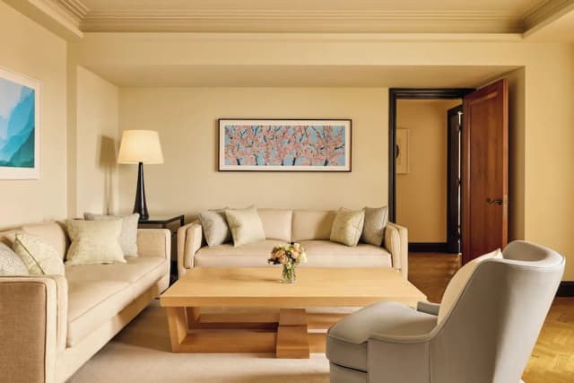 梅寶尼克拉裡奇飯店-套房, 露台, 邊間-4