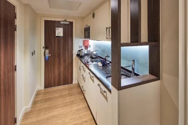 滑鐵盧馬林飯店-豪華開放式客房, 1 張加大雙人床和 1 張沙發床-4