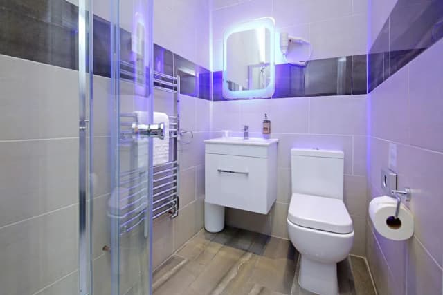 帝國旅館-經典雙床房, 獨立浴室-4