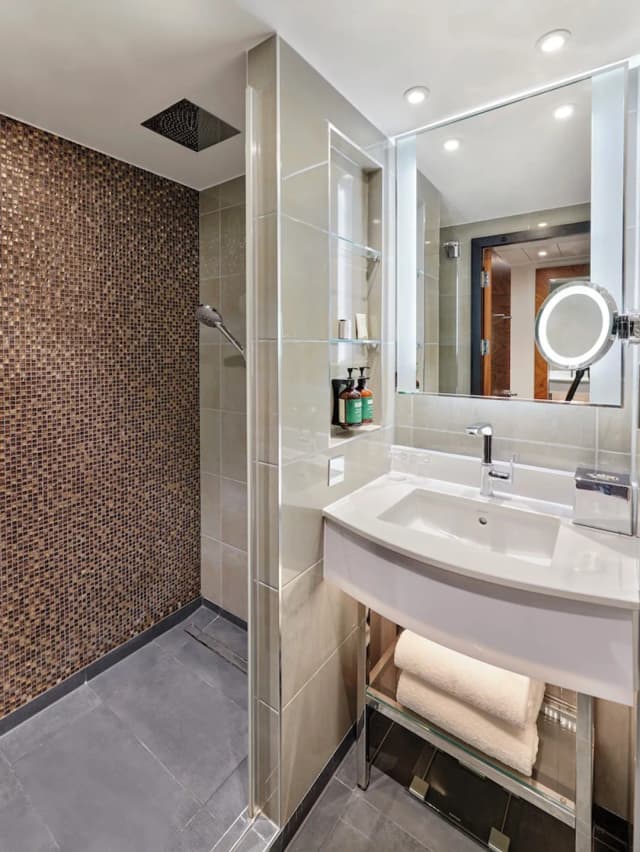 倫敦亞伯特堤岸凱悅飯店-客房, 1 張特大雙人床, 河景-2