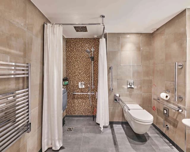 倫敦亞伯特堤岸凱悅飯店-客房, 1 張特大雙人床, 河景-9