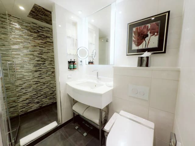 倫敦亞伯特堤岸凱悅飯店-豪華客房, 1 張特大雙人床, 河景-5