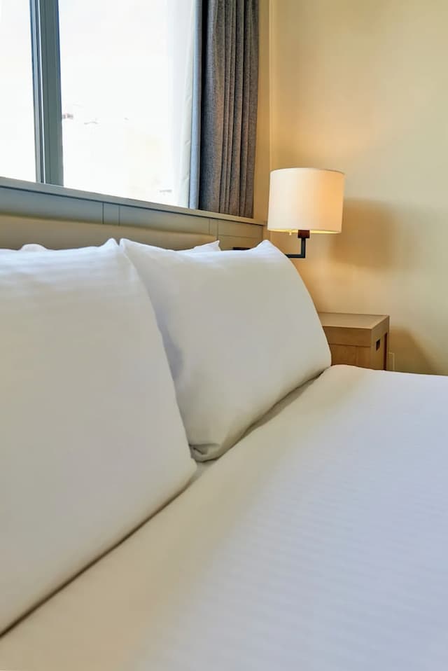 倫敦 - 布盧姆斯伯里假日飯店 - IHG 旗下飯店-標準客房-3