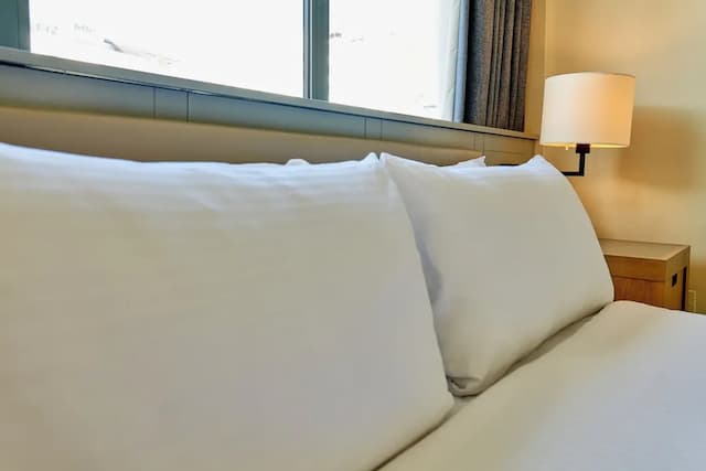 倫敦 - 布盧姆斯伯里假日飯店 - IHG 旗下飯店-標準客房-5