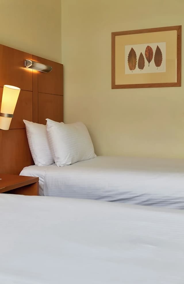 倫敦 - 布盧姆斯伯里假日飯店 - IHG 旗下飯店-標準客房, 2 張單人床-5