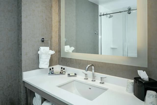 華盛頓西雅圖貝爾維尤市中心希爾頓花園酒店-客房, 1 張特大雙人床, 非吸煙房-7