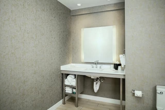 華盛頓西雅圖貝爾維尤市中心希爾頓花園酒店-客房, 1 張特大雙人床, 無障礙, 非吸煙房 (w/ roll-in shower)-4