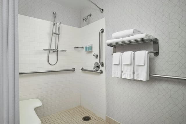 스프링힐 스위트 바이 메리어트 시카고 다운타운/리버 노스-스튜디오, 더블침대 2개, 시내 전망-7