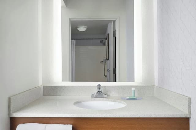 스프링힐 스위트 바이 메리어트 시카고 다운타운/리버 노스-스튜디오, 더블침대 2개, 시내 전망, 코너-9