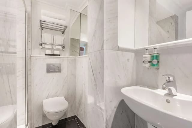 倫敦蘇塞克斯愛德華麗笙藍標酒店-標準客房-14