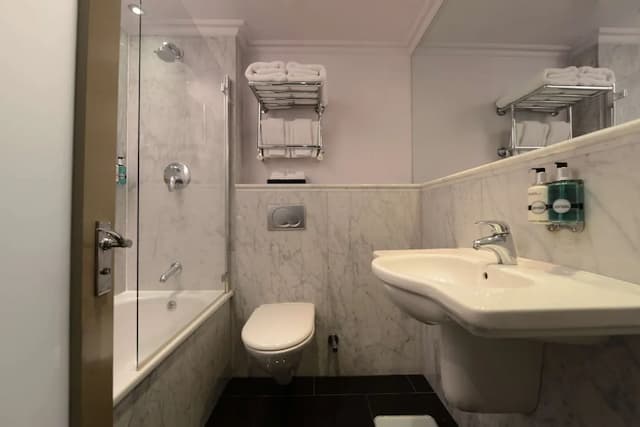 倫敦蘇塞克斯愛德華麗笙藍標酒店-單人房-4