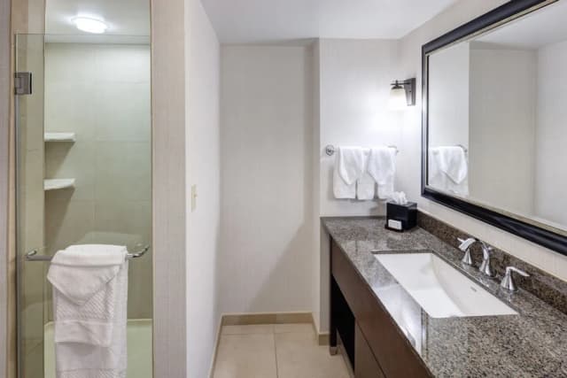 Embassy Suites by Hilton Anchorage-Room, 1 King Bed, Mountain View-4