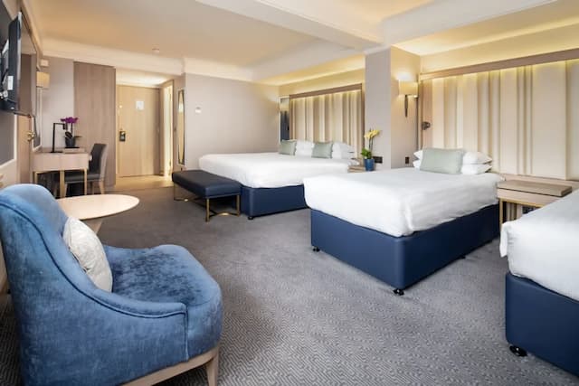 다누비우스 호텔 리젠츠 파크-패밀리룸 (Deluxe)-3