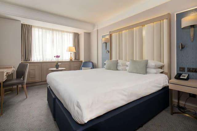 다누비우스 호텔 리젠츠 파크-디럭스룸 (King)-1