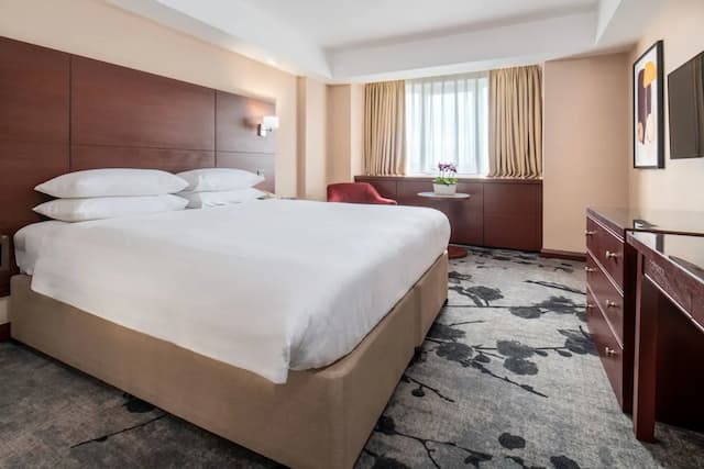 丹烏比斯攝政公園飯店-標準雙人房-1