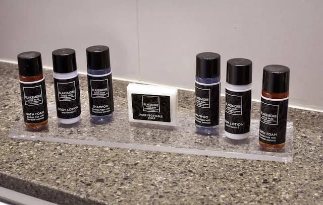 Blakemore Hyde Park-小型套房-6