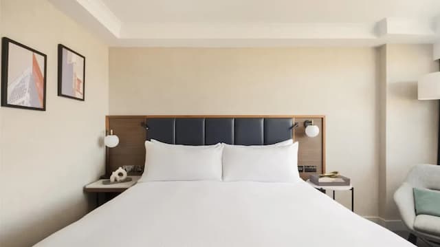 倫敦大都會希爾頓飯店-豪華雙人房, 1 張特大雙人床, 城市景觀-7