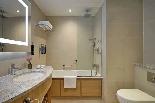 London Hilton on Park Lane-华丽客房, 2 张单人床-5