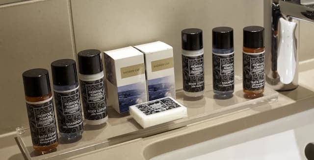 諾福克雙塔飯店-套房-9