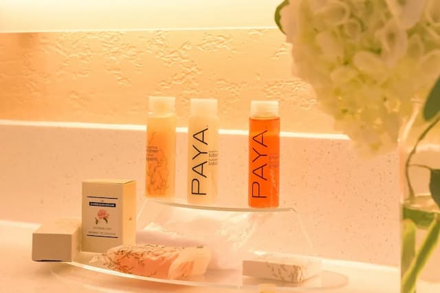 Gateway Hotel Santa Monica-2 Queens Accessible Bathtub-5