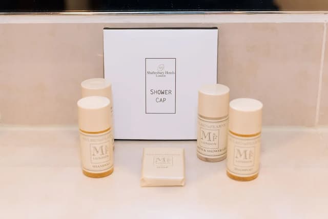 The Premier Notting Hill-行政客房-28