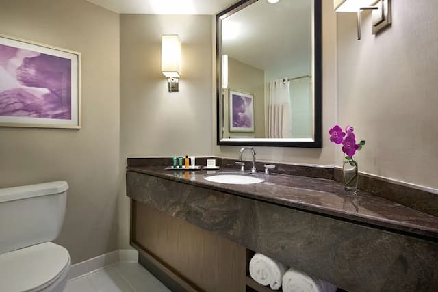 Hilton Long Beach Hotel-Deluxe Room, 1 King Bed, Accessible (Mobility & Hearing, Roll-in Shower)-6