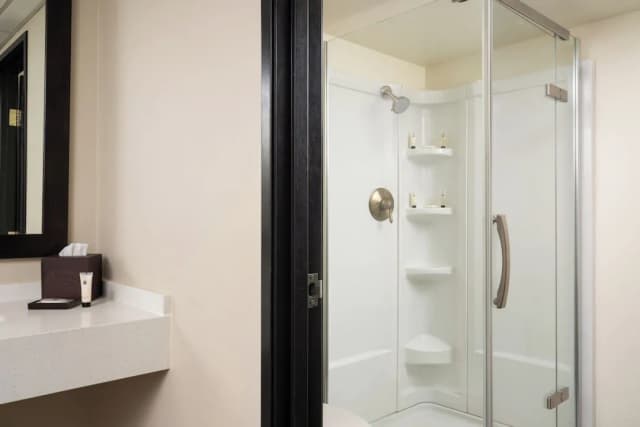 安克拉治湖濱飯店-豪華客房, 1 張特大雙人床-6