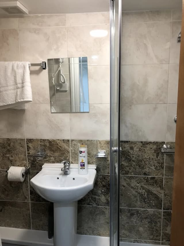 레만 하우스-클래식 더블룸, 더블침대 1개, 금연, 전용 욕실-6