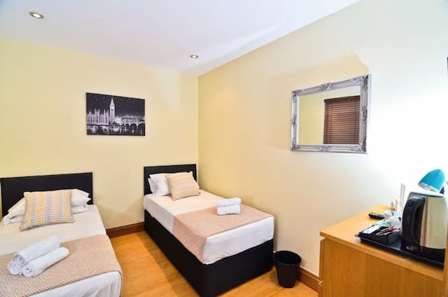 泰唔士河景觀之家酒店-經典雙床房-6