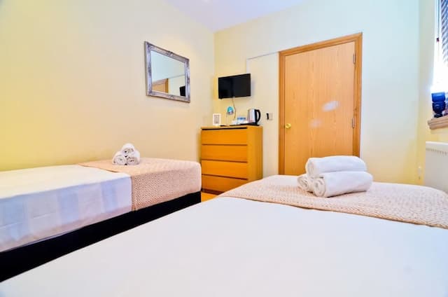 泰唔士河景觀之家酒店-經典雙床房-4